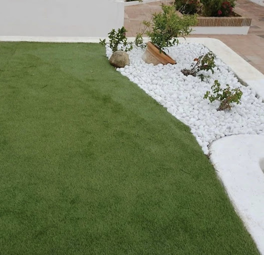 Proyecto de Jardinería 5