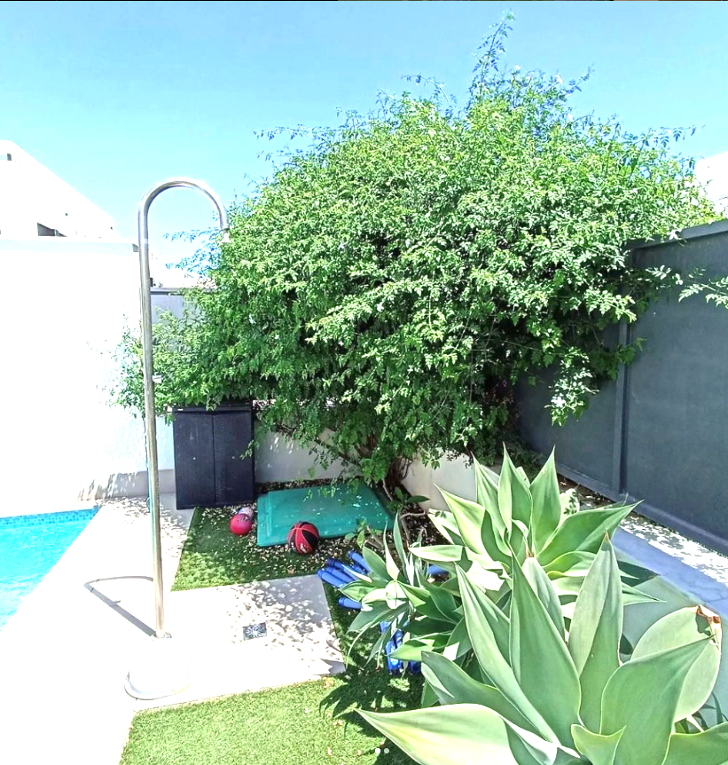 Proyecto de Jardinería 5